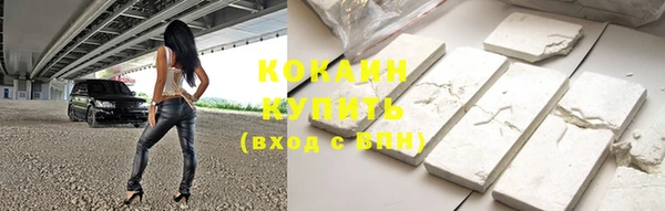 гашик Вяземский