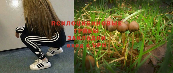прущая мука Вязники