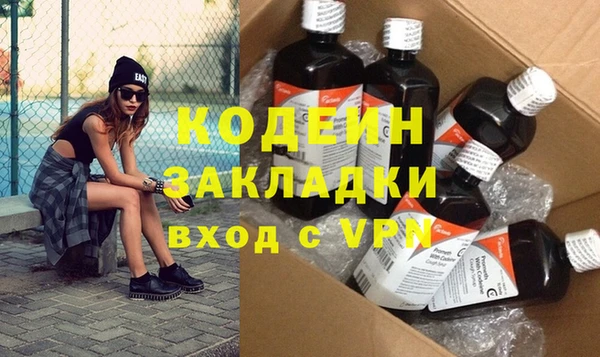 гашик Вяземский