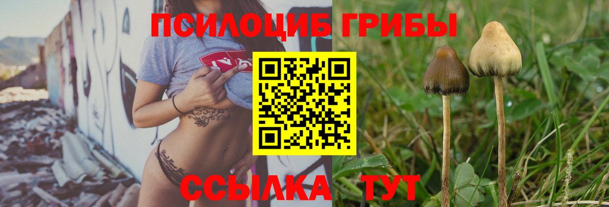 Галлюциногенные грибы ЛСД  сколько стоит  Снежинск  Вход с VPN 